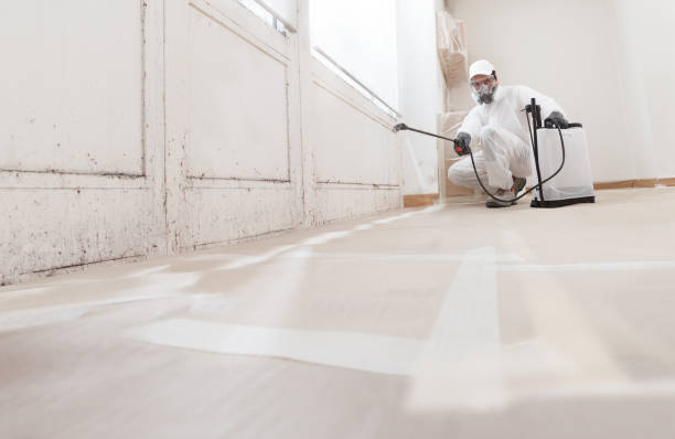 24/7 Emergency Attic Mold Remediation experts in Maynard, MA